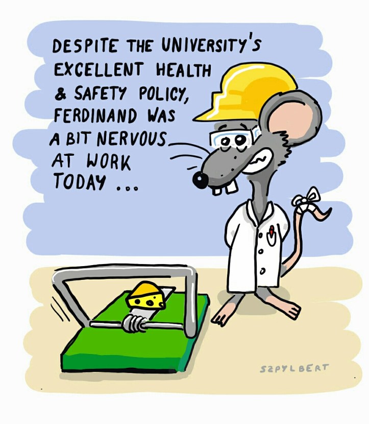 Szpylbert cartoon about daring to fail