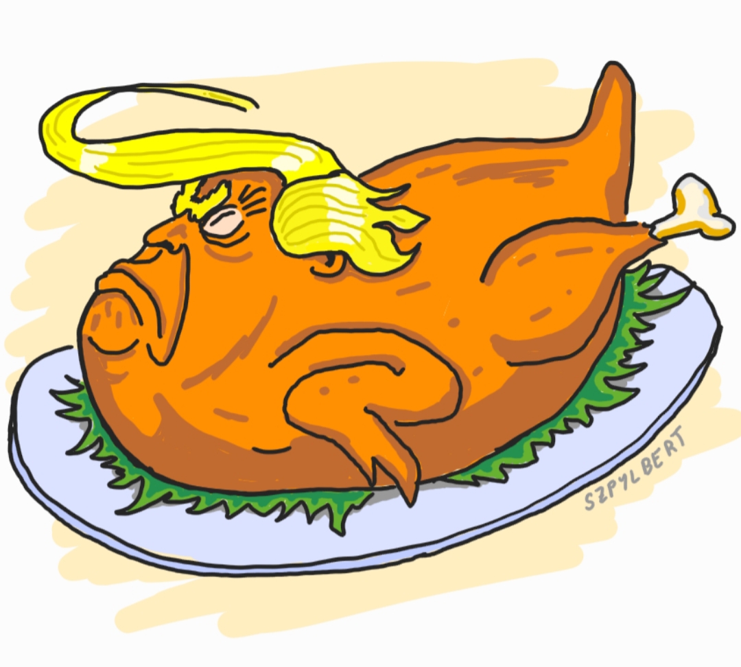 Szpylbert cartoon of Donald as a turkey.